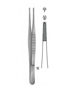 Y-S536